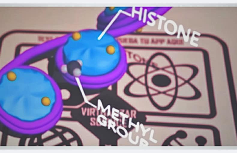 realidad aumentada en educación Chile visualización molecular en tablet